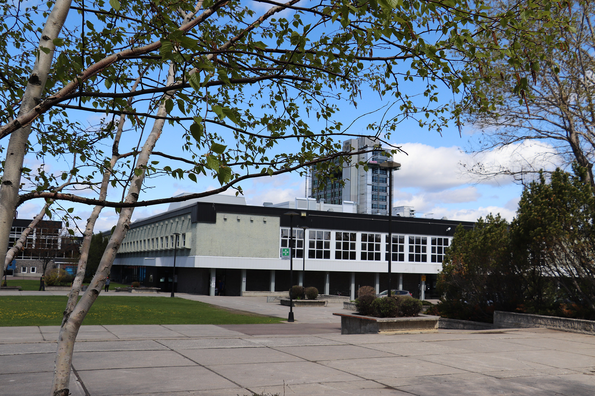 emploi cegep de jonquiere