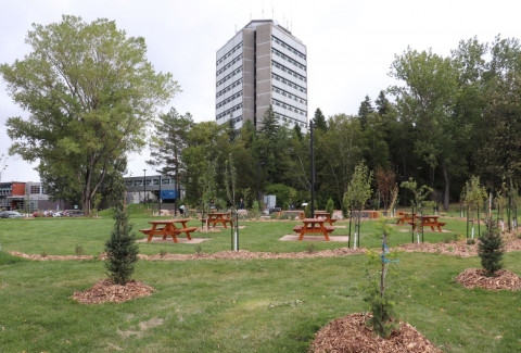 Forêt nourricière du Cégep de Jonquière.